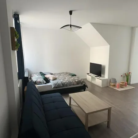 La Colmarienne Appartamento *